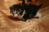 img_2303_small.jpg