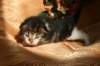img_2316_small.jpg