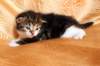 img_2357_small.jpg