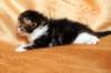 img_2363_small.jpg