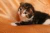 img_2407_small.jpg