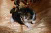 img_2419_small.jpg
