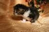 img_2420_small.jpg