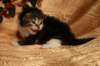 img_2424_small.jpg