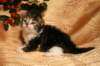 img_2428_small.jpg