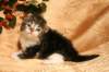 img_2429_small.jpg