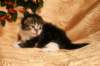 img_2431_small.jpg