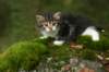 img_5050_small.jpg