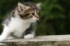 img_5115_small.jpg