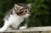 img_5116_small.jpg