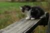 img_5162_small.jpg