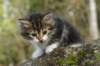 img_6642_small.jpg
