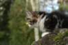 img_6669_small.jpg