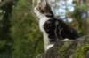 img_6680_small.jpg