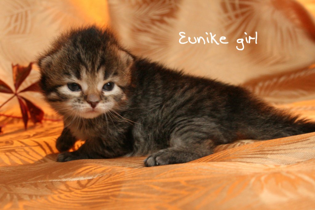 eunikegirl.jpg