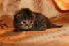 img_3137_small.jpg