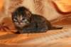 img_3140_small.jpg