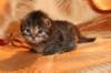 img_3147_small.jpg
