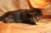 img_3164_small.jpg