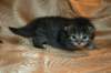 img_3170_small.jpg