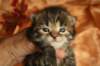 img_3254_small.jpg