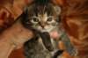 img_3263_small.jpg