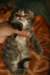 img_3264_small.jpg