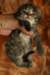 img_3265_small.jpg