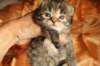 img_3267_small.jpg