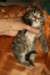 img_3270_small.jpg