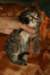 img_3273_small.jpg