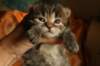 img_3274_small.jpg