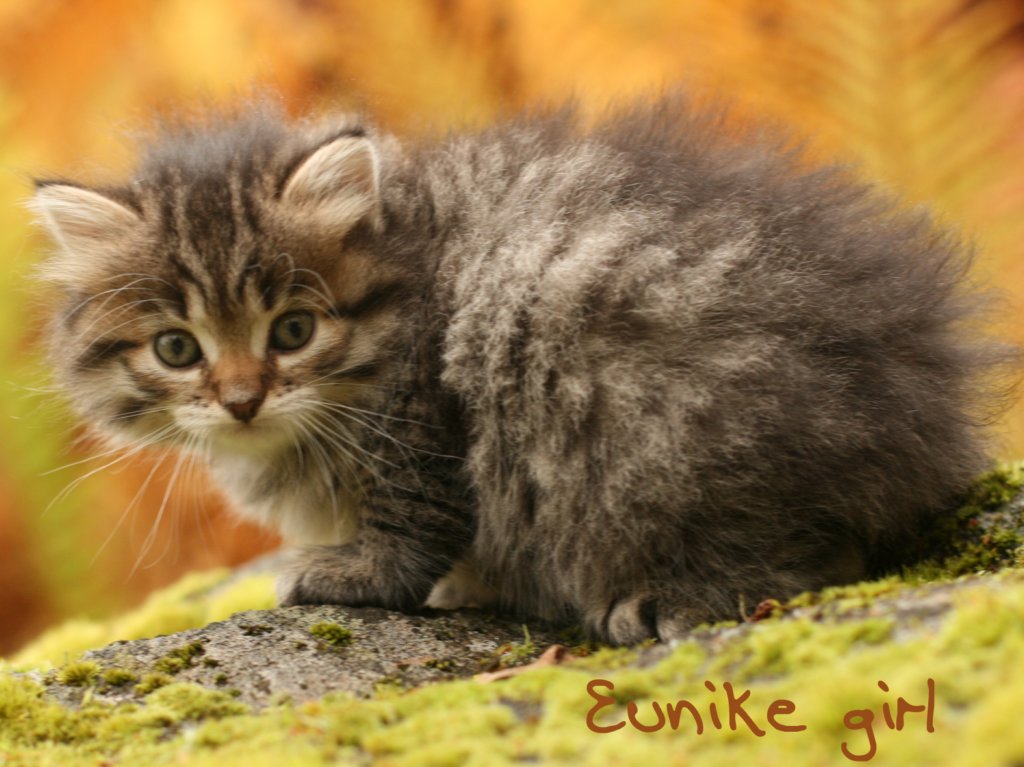 eunike.jpg