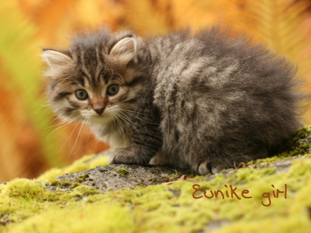 eunikegirl.jpg
