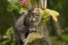 img_4966_small.jpg