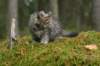 img_6763_small.jpg