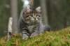 img_6786_small.jpg