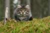 img_6789_small.jpg