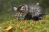 img_6793_small.jpg