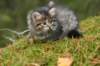 img_6798_small.jpg