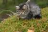 img_6801_small.jpg