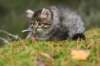 img_6807_small.jpg