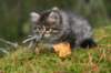 img_6811_small.jpg