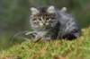 img_6846_small.jpg
