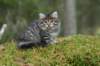img_6859_small.jpg