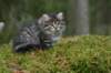 img_6861_small.jpg