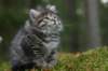 img_6863_small.jpg