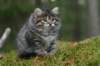 img_6865_small.jpg
