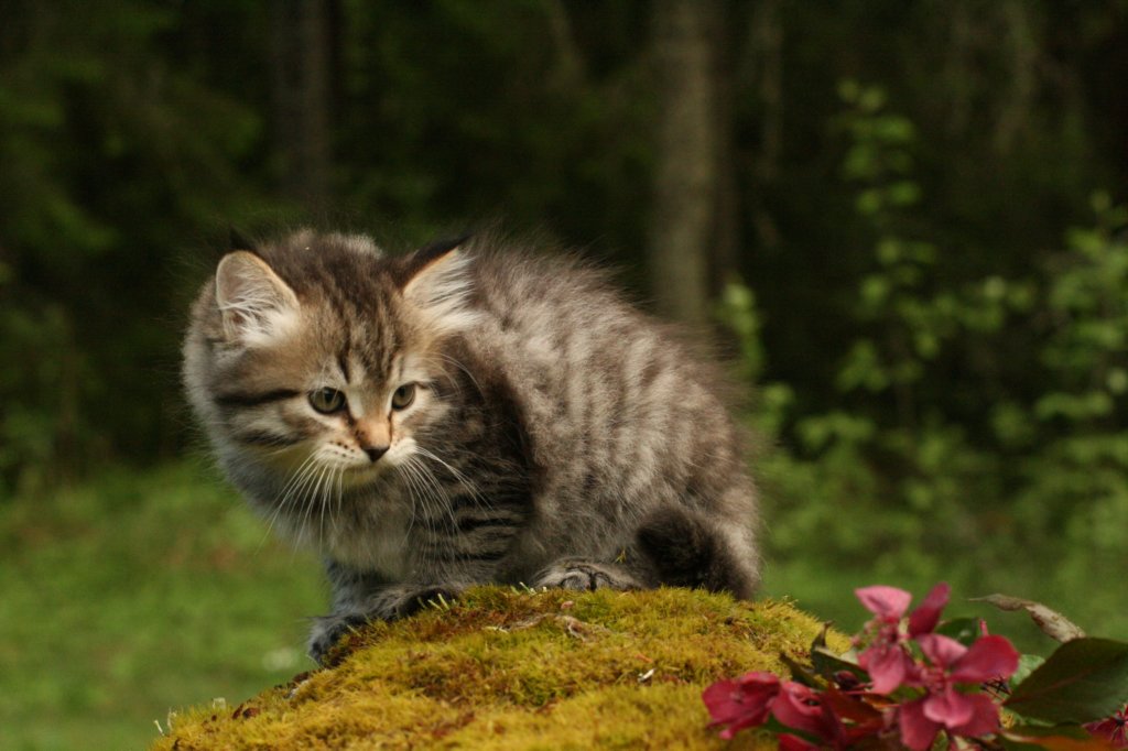 esriboy7weeks10.jpg