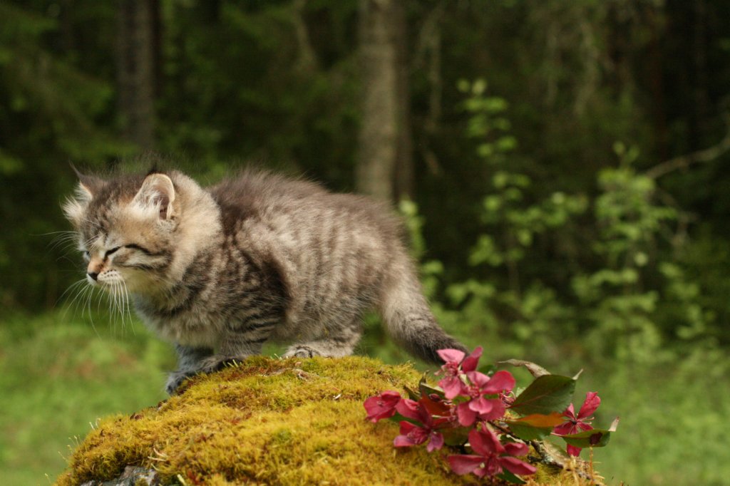 esriboy7weeks9.jpg